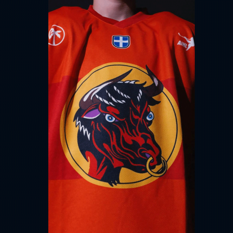 MINOTAURS Jersey - Image 2